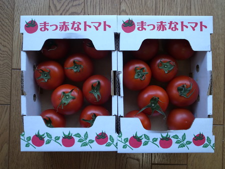 日焼け予防 カゴメ高リコピントマト リピ買い 月が昇れば 日焼け予防 カゴメ高リコピントマト リピ買い 月が昇れば