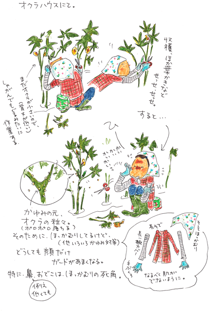 f0236291_2334463.gif