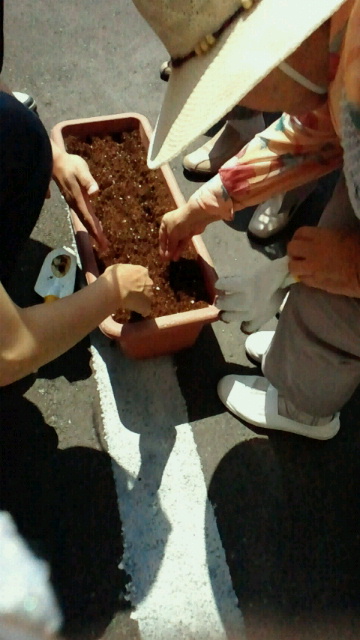 c0205393_16385394.jpg
