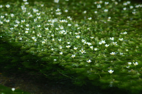 d0234293_64188.jpg