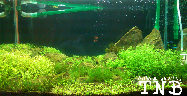 d0247895_21502564.jpg