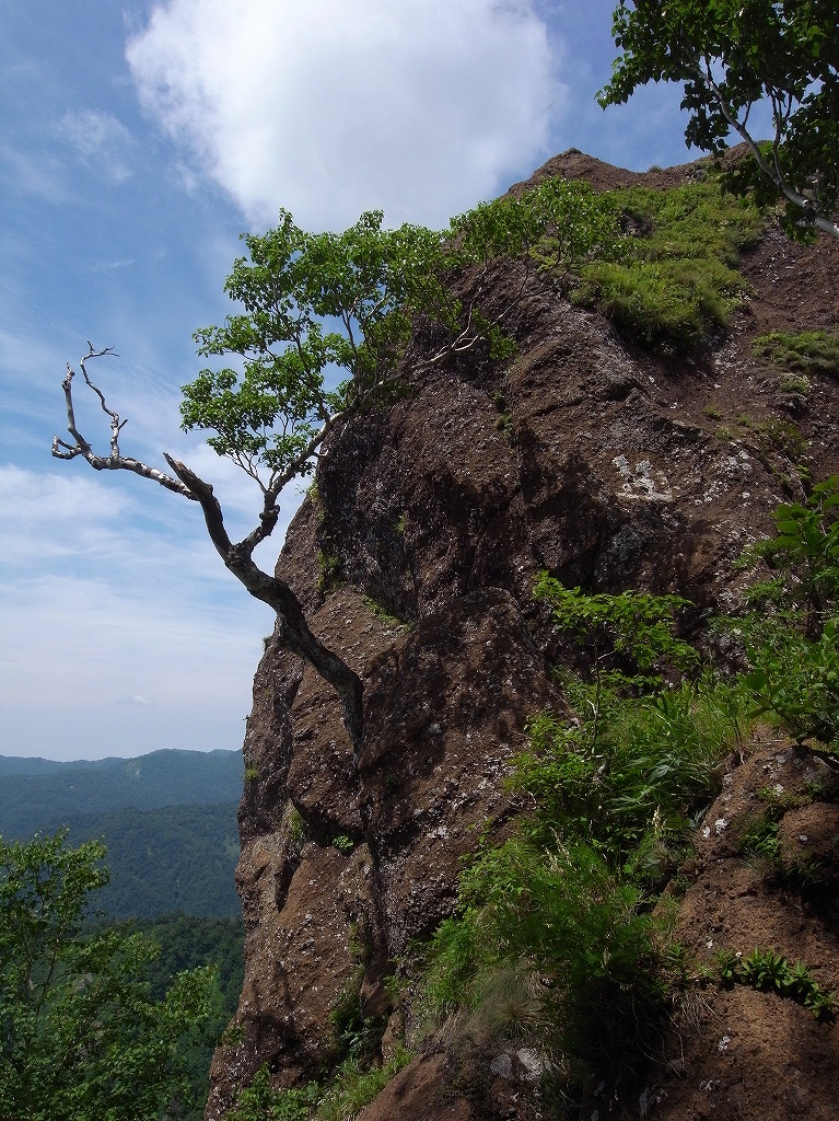 7月11日、定山渓天狗岳_f0138096_1275281.jpg