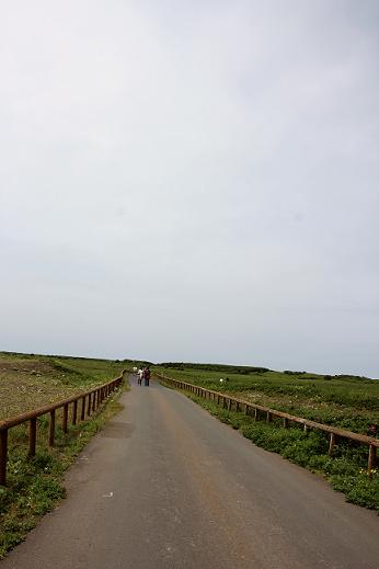a0208109_22151368.jpg