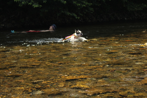 c0220715_0365040.jpg