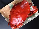 b0191125_026427.jpg