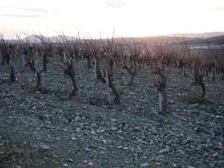 Domaine de Cébène_a0157027_03206.jpg