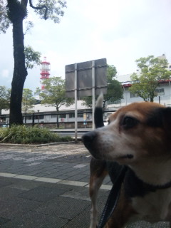 e0119327_13503236.jpg