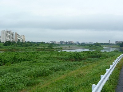 おにゃじ 多摩川沿いを3時間走する_b0166128_23413176.jpg