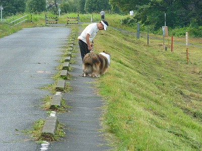 おにゃじ 多摩川沿いを3時間走する_b0166128_23422660.jpg
