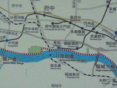 おにゃじ 多摩川沿いを3時間走する_b0166128_23465212.jpg