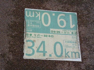 おにゃじ 多摩川沿いを3時間走する_b0166128_2348128.jpg
