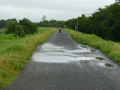 おにゃじ　多摩川沿いを３時間走する_b0166128_2355897.jpg