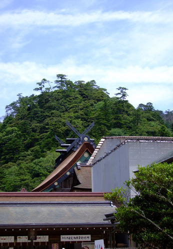 「島根県・出雲 出雲大社 日本一の大しめ縄4年ぶりの掛け替え2」_a0000029_19585256.jpg