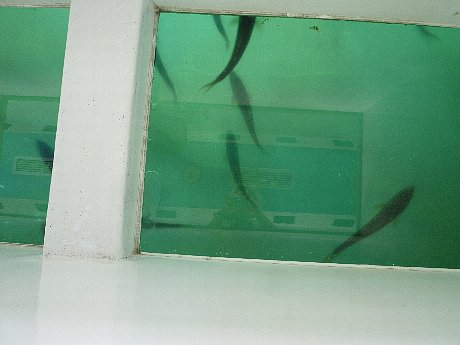 e0198329_8145643.jpg