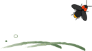 b0191932_16255785.gif