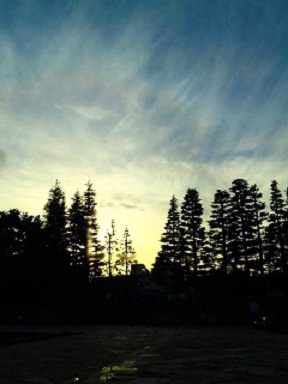 c0221732_311522.jpg