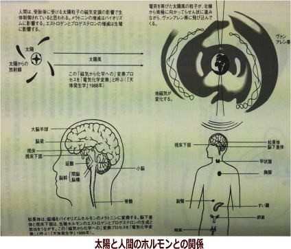 マヤ神聖暦の新しい始まり!_b0213435_23485778.jpg