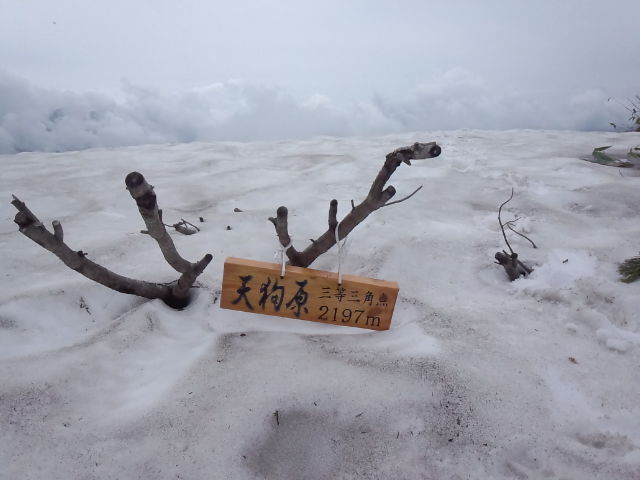 f0209354_531197.jpg