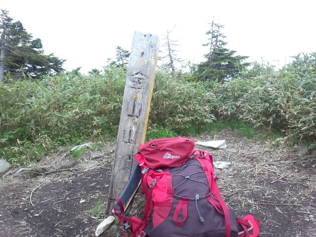f0209354_5334669.jpg