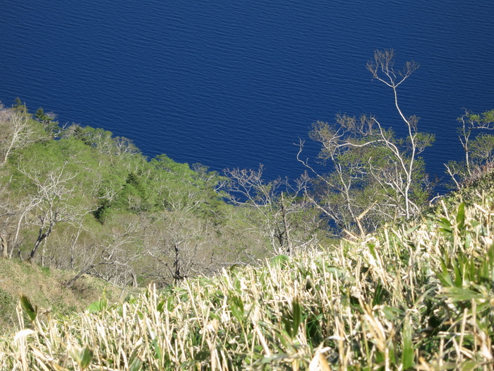 a0098864_23112992.jpg