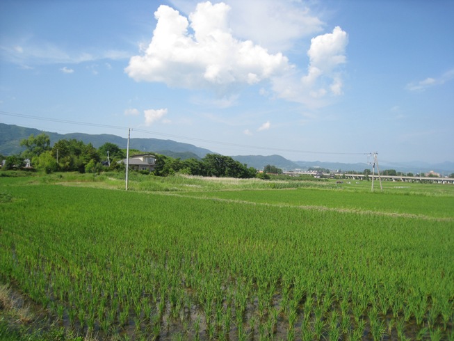 再び「半田銀山史跡公園」に立ち寄って～半田散歩から⑬_a0087378_3434315.jpg