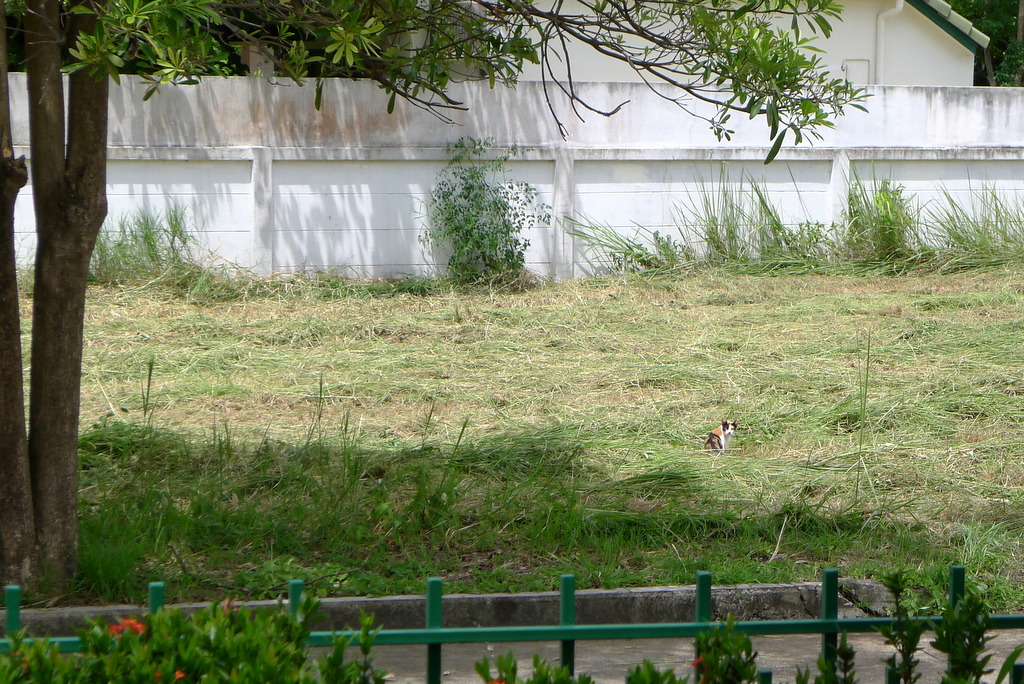 f0178278_62614.jpg