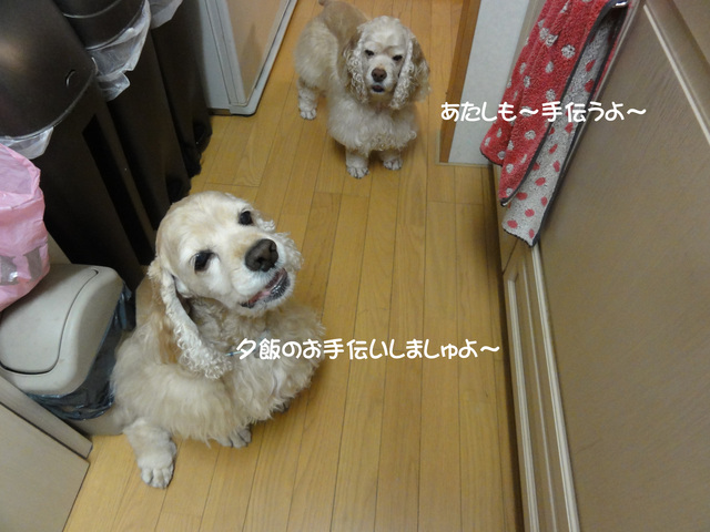 f0218182_1331196.jpg