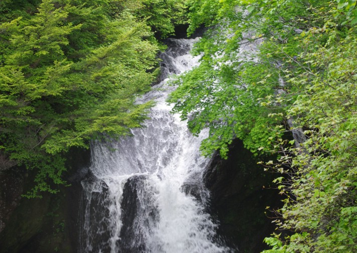 奥日光　滝と川岸の花たち_c0144185_1755253.jpg