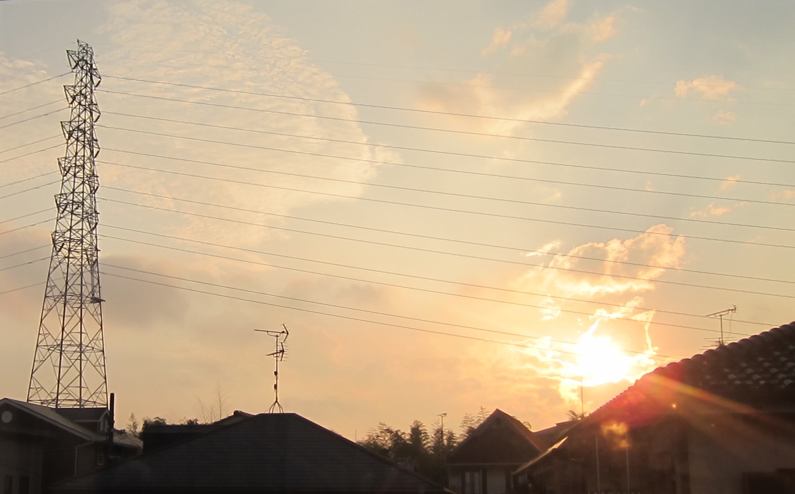 夜のスカイツリー_d0249193_140352.jpg