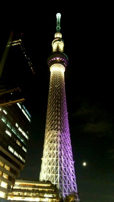夜のスカイツリー_d0249193_144054.jpg