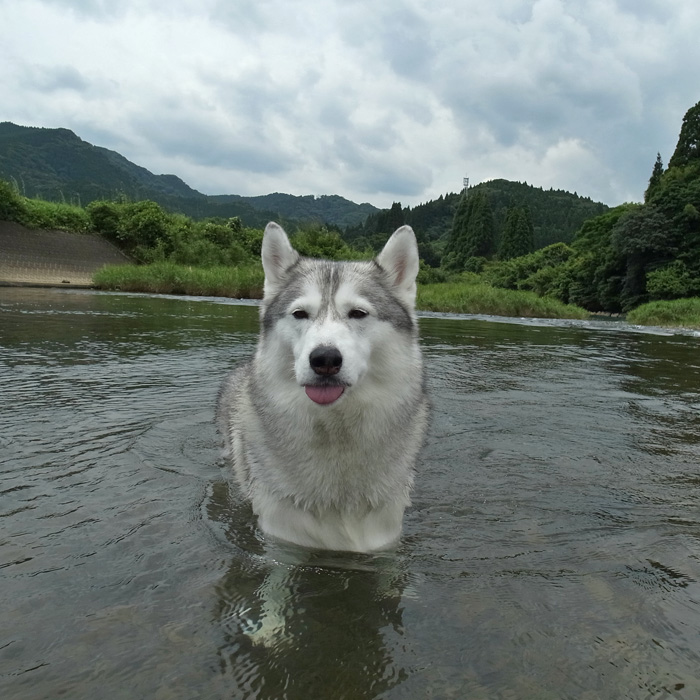 やばい！怖い！_c0049299_1745518.jpg