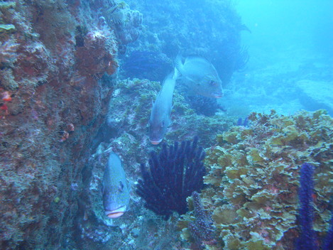 e0115199_19141879.jpg
