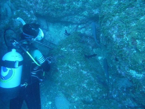 e0115199_1914767.jpg