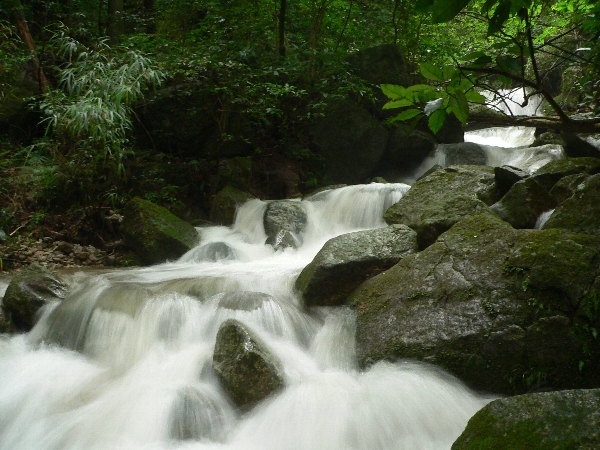 福岡地区　池・沢散策　Never Rain_e0002314_18585528.jpg