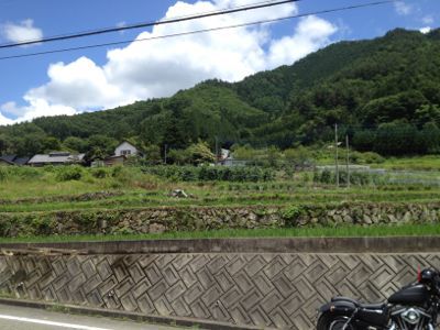 d0258215_8375829.jpg