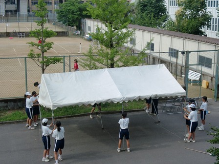 e0251420_1735495.jpg
