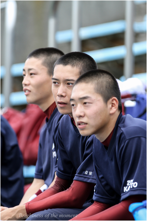 第９４回全国高等学校野球選手権神奈川大会_e0200922_20552168.jpg