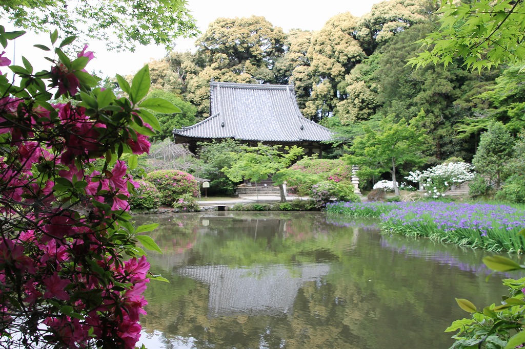 万葉集その三百八十(山辺の道：巻向、穴師)_b0162728_17561531.jpg