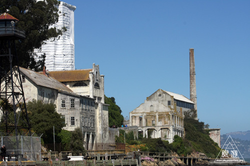 241 Alcatraz Island ~お目当ては野鳥~_c0211532_187415.jpg