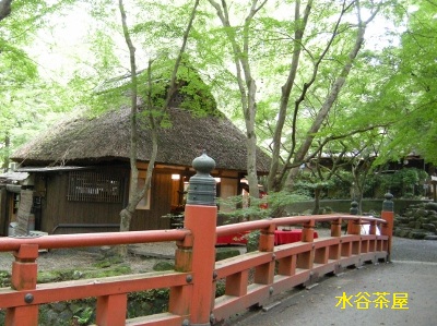 若草山・奈良公園ハイキング_a0098746_13253713.jpg