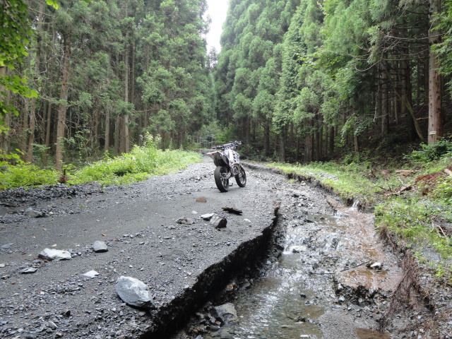 久々に林道に行ってみる_e0170546_19303379.jpg