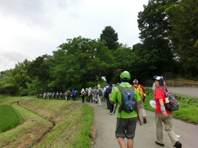 カルチャくん大人気!_f0019247_2191096.jpg