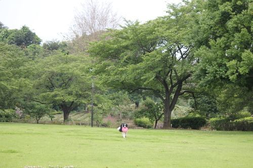 b0245048_3193296.jpg
