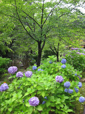 能登秘宝めぐり　in　永光寺_e0255748_16292298.jpg