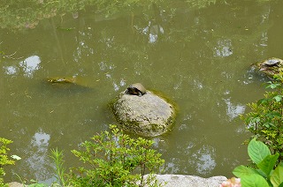 夏旅2012 太宰府_a0229853_9194758.jpg