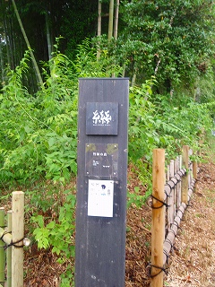e0004756_10445249.jpg