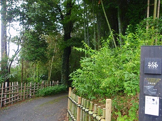 e0004756_10451769.jpg