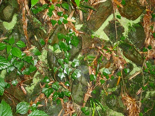 e0004756_11131383.jpg