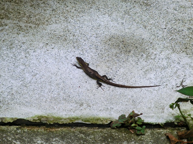 c0105569_0255189.jpg