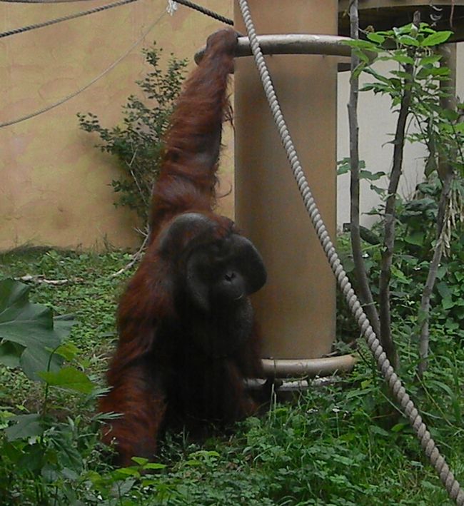 b0014576_8115618.jpg